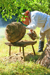 Zwiedzający mieli okazję zobaczyć jak wyglądała praca pszczelarza na początku XX wieku, fot. Małgorzata Błaszczak